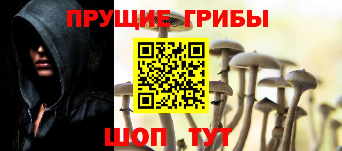 Галлюциногенные грибы Cubensis Воткинск